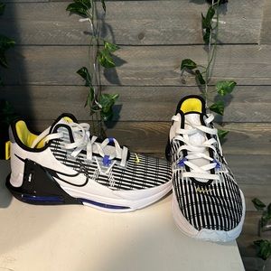 Lebron whiteness 6 basketball shoes.